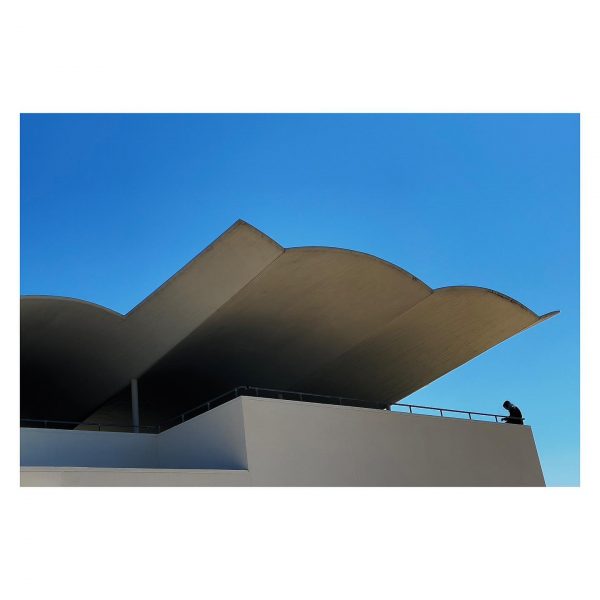 Paseante 006