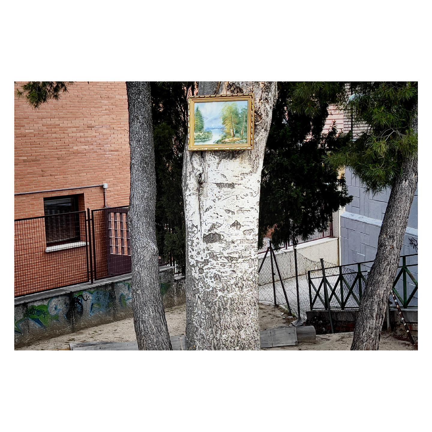 Paseante 008