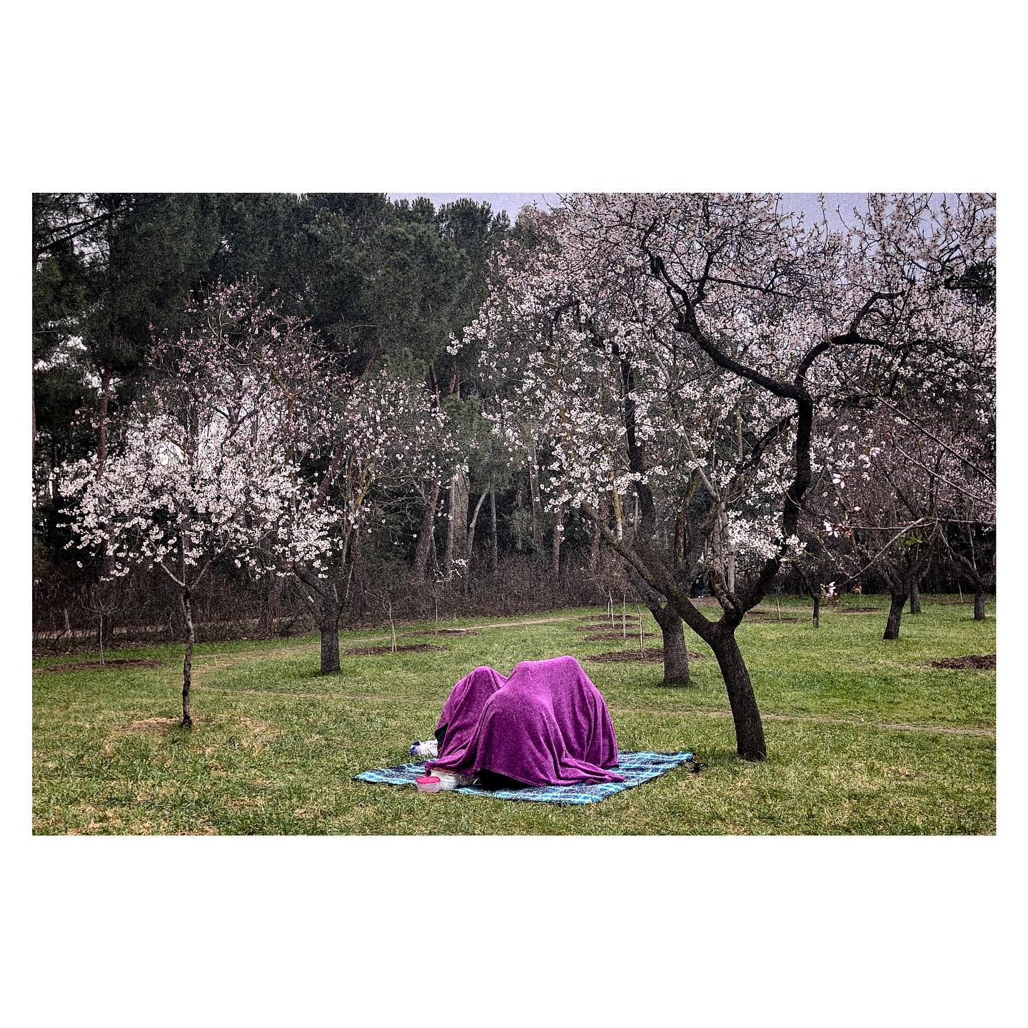 Paseante 038