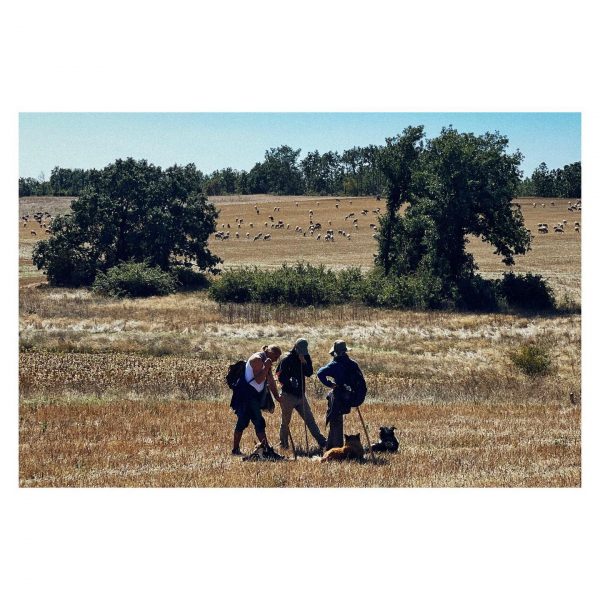 Paseante 050