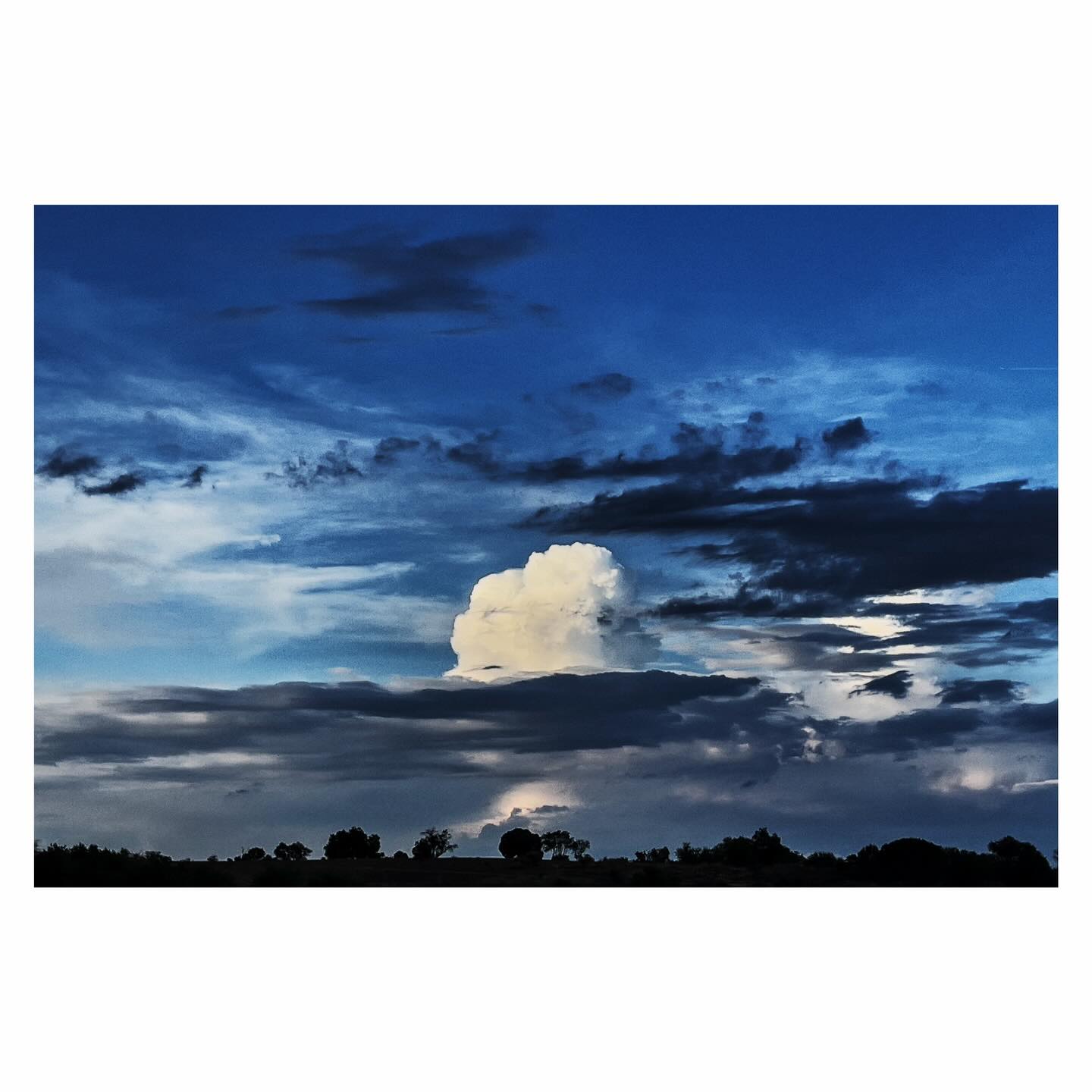 Paseante 072