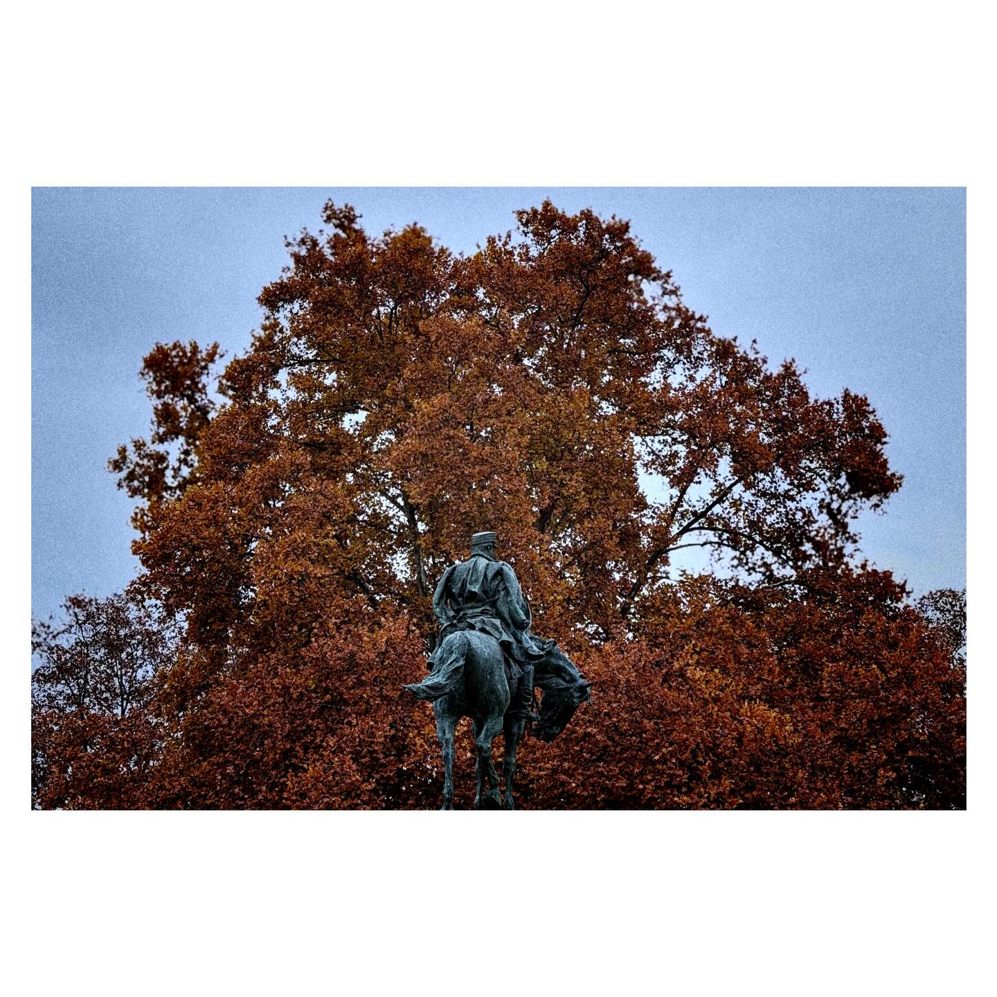 Paseante 073
