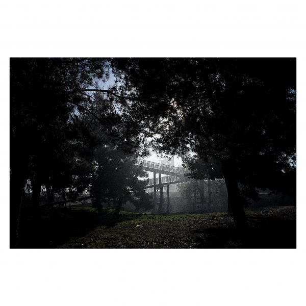 Paseante 083