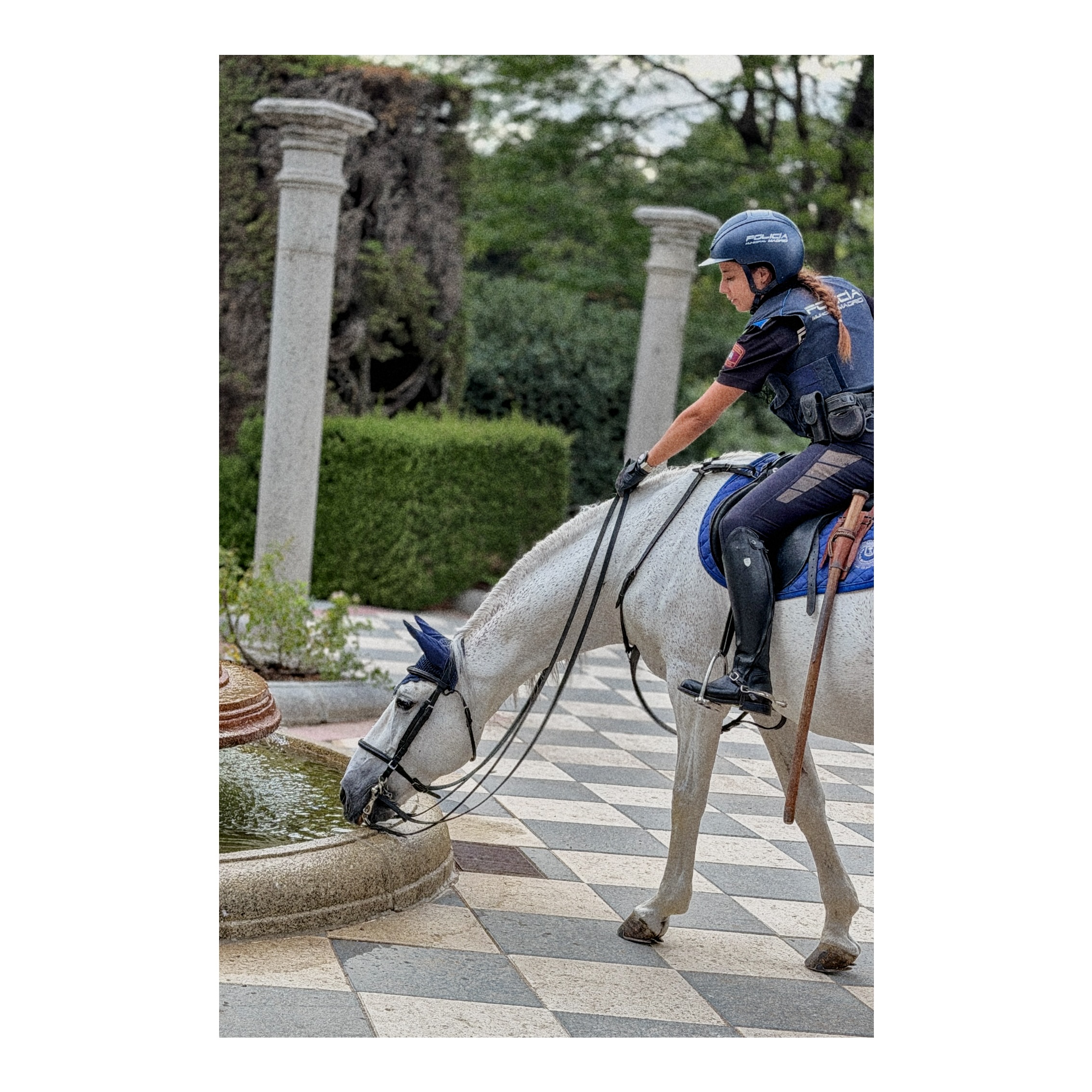 Paseante 086